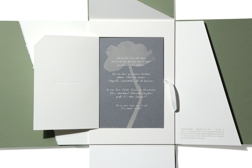 Antalis Creative projekt.jpg