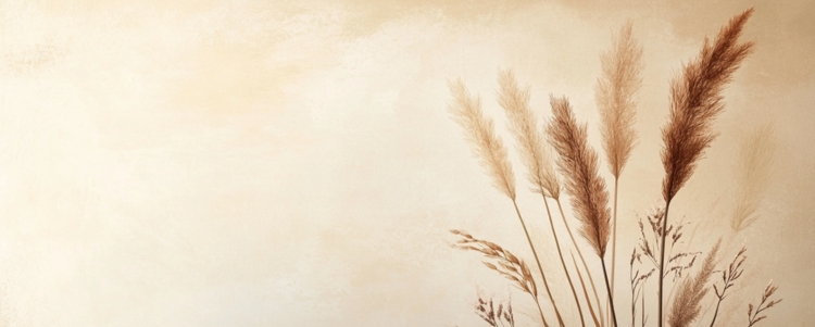 Baner-psychologia-koloru-brown.jpg