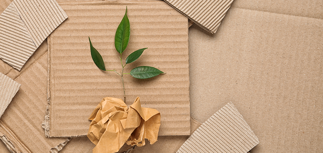 Header-6.png