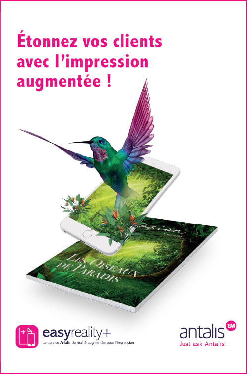snap-colibri.jpg