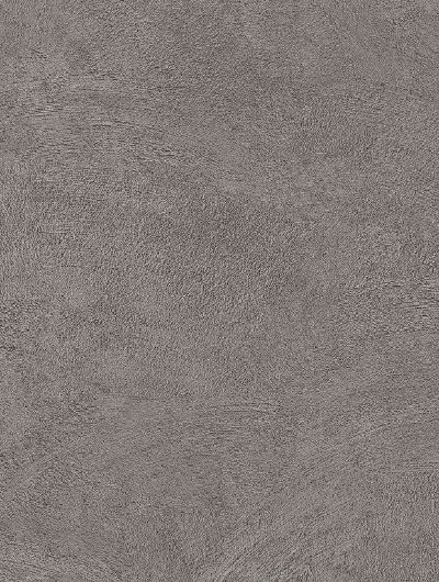 Kamień naturalny NE26 ciemnoszary beton