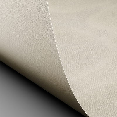 Papier Conqueror Laid, vellum, 100 g/m², 210x297 mm, A4, ze znakiem wodnym