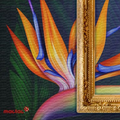 Folia IMAGin WW Canvas, PVC, mat, biały, 1370 mm x 30 m