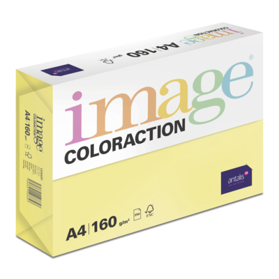 Image Coloraction