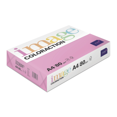 Image Coloraction
