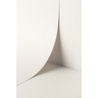 Papier Keaykolour Leather, White, 340 g/m², 700x1000 mm, B1, LG