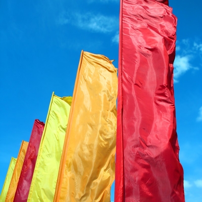 TTS Wave Flag 120 FR