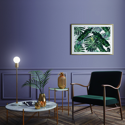 Coala Interior Film jednolite kolory