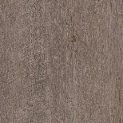 Coala Interior Film drewna