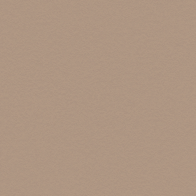 Coala Interior Film betony