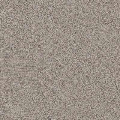 Coala Interior Film betony