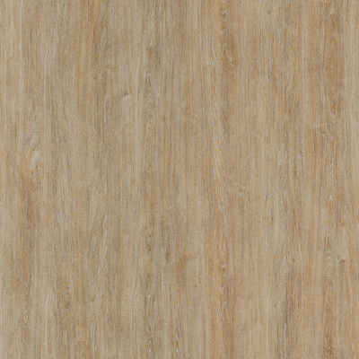Coala Interior Film drewna
