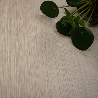 Coala Interior Film drewna