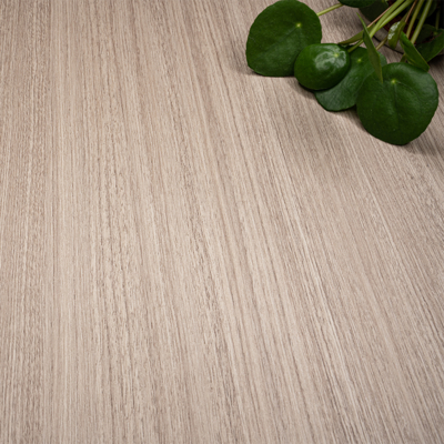 Coala Interior Film drewna