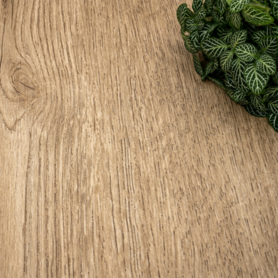 Coala Interior Film drewna