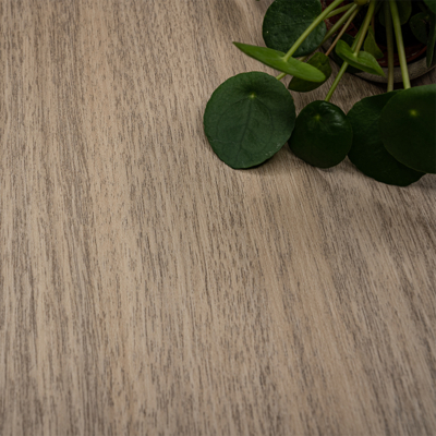 Coala Interior Film drewna