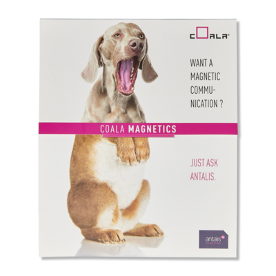 Coala Magnetics Base Adhesive