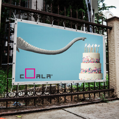 Coala Frontlit Evo Wedlable