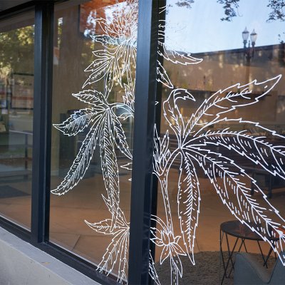 Folia Coala Pro Tack UV, poliester, błysk, transparent, 1370 mm x 30 m