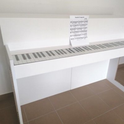 Coala Air Board Daily - płyta kartonowa plaster miodu Antalis