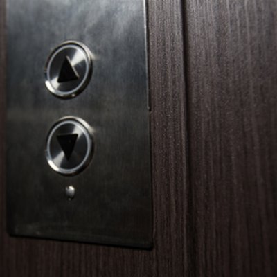 Coala Interior Film drewna