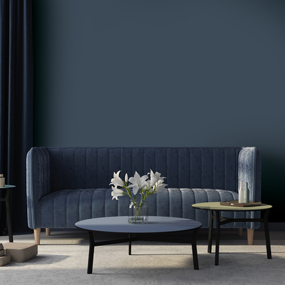Coala Interior Film jednolite kolory