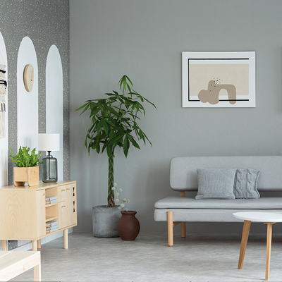Coala Interior Film kamienie naturalne