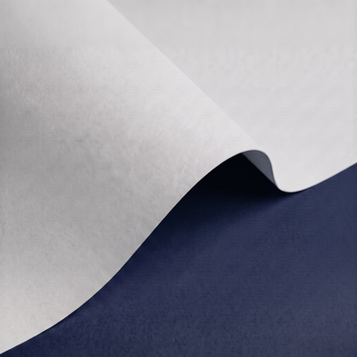 Papier Olin Regular Digital, Ultimate White, 200 g/m², 530x750 mm, LG