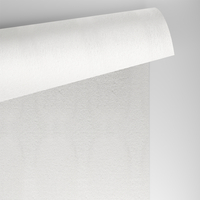 Papier Conqueror Laid, high white, 300 g/m², 720x1020 mm, B1+, bez znaku wodnego