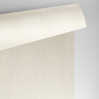 Papier Conqueror Laid, vellum, 100 g/m², 450x640 mm, SRA2, ze znakiem wodnym