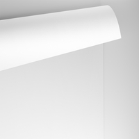Papier Conqueror Wove, diamond white, 100 g/m², 450x640 mm, SRA2, bez znaku wodnego