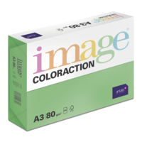 Image Coloraction