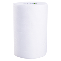 Ręcznik papierowy, 100% celulozy, 200 mm x 72 mb, 2 warstwy
