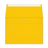 Koperty Olin Colours