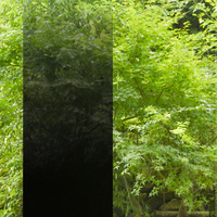 Folia 3M Fasara, SH2BKIM Ilumina Black, poliester, Gradation, klej trwały, 1270 mm x 30 m, 7100063803