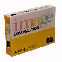 Image Coloraction