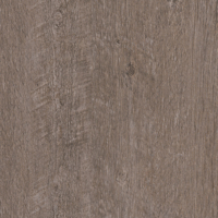 Coala Interior Film drewna