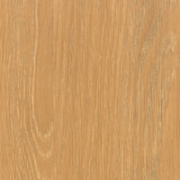 Coala Interior Film drewna