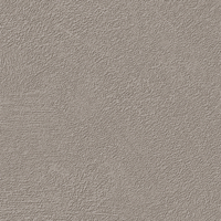 Coala Interior Film betony