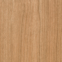 Coala Interior Film drewna