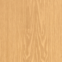 Coala Interior Film drewna