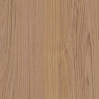 Coala Interior Film drewna
