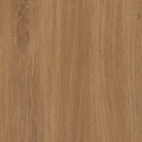 Coala Interior Film drewna