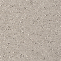 Coala Interior Film drewna