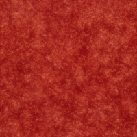 Coala Interior Film brokaty