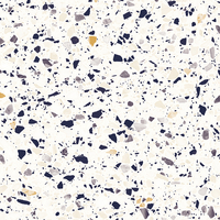 Coala Interior Film kamienie naturalne