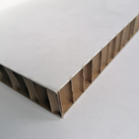Coala Air Board Daily - płyta kartonowa plaster miodu Antalis