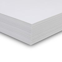 Iroplast SB 744 - biały