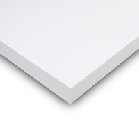 HIPS Iroplast SB Economy, biały rdzeń, mat/błysk, 3 x 2050 x 3050 mm