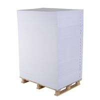 papier Speed-E Pre-Print biały 90g/m2 630mm x 880mm paleta, FSC